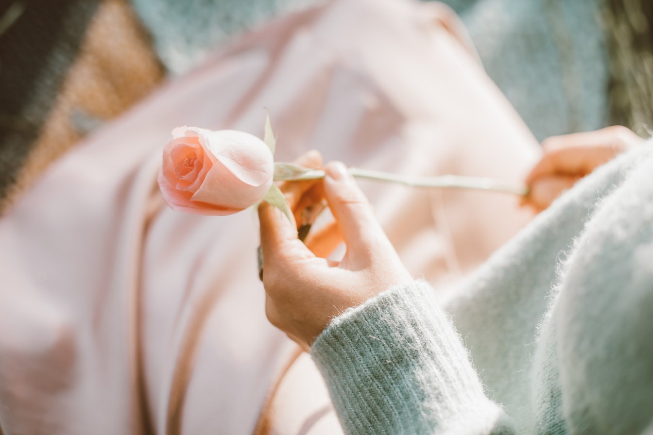 Person Holding Pink Rose