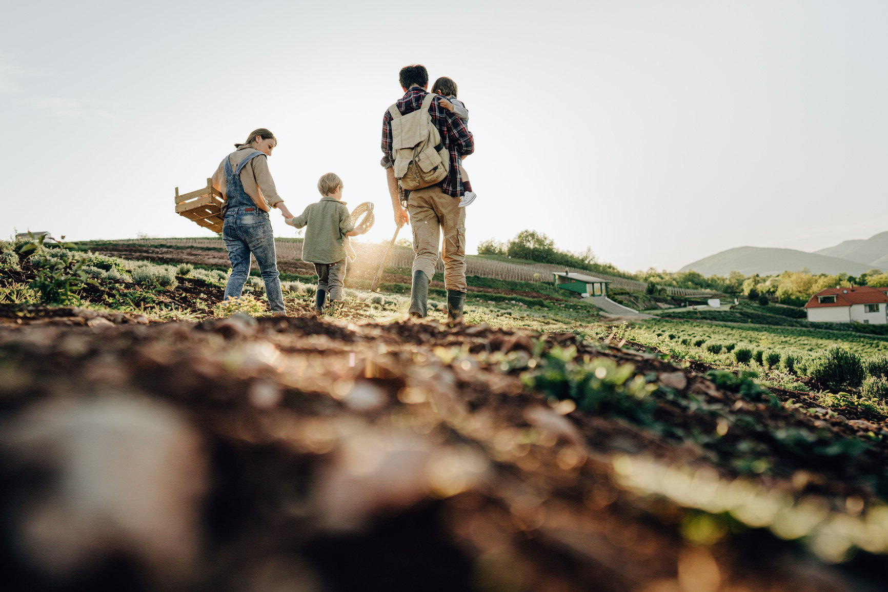 Farm life